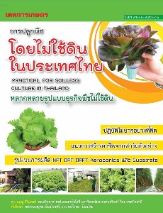การปลูกพืชโดยไม่ใช้ดินในประเทศไทย
