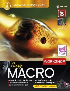 Easy Macro Workshop