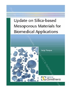 Update on silica-based mesoporous materials for biomedical applications