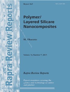 PolymerLayered Silicate Nanocomposites
