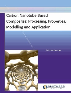 arbon nanotube based composites  processing, properties, modelling and application