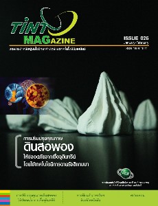TINT MAGazine ISSUE 026